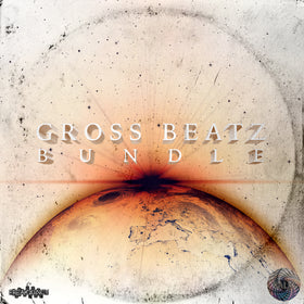 Gross Beatz - Bundle 1 - MRhythmizer Preset Banks